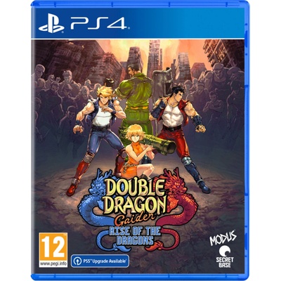 Double Dragon Gaiden: Rise of the Dragons
