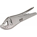 Festa 17035