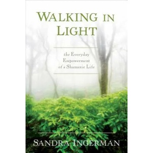 Walking in Light (ISBN: 9781622034284)