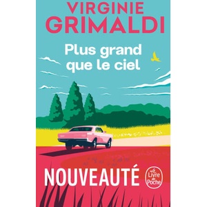 Plus grand que le ciel (2025)