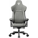 Image 1 of ThunderX3 Core Loft