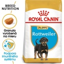 Royal Rottweiler Puppy 12 kg