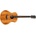 Taylor GS Mini-e Koa