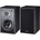 Magnat Monitor S10