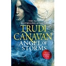 Angel of Storms: Book 2 of Millennium's Rule- Trudi Canavan
