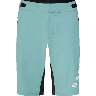 Oakley Free Ride Lined pánské pacific