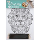 Malování podle čísel A4 5 listů a 5 oboustranných pastelek