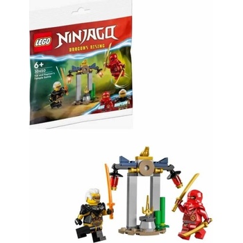 LEGO® Ninjago 30650 Bitva Kaie a Raptona v chrámu