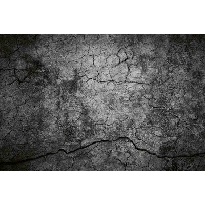 DIMEX ART Флизелинов фототапет фон от напукан цимент 375 x 250 см