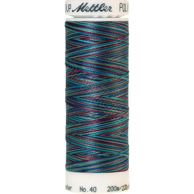9970 Poly Sheen Multicolored 200m