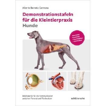 Demonstrationstafeln für die Kleintierpraxis Hunde | Alberto Berneto Carmona