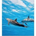 DIMEX ART Флизелинов фототапет делфини 225 x 250 см