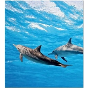 DIMEX ART Флизелинов фототапет делфини 225 x 250 см