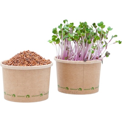 TINY GREENS Redkvička China Rose - BIO semienka na klíčenie a microgreens balenie 50 g