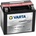 VARTA Powersports AGM 12V 10Ah left+ YTX12-4/YTX12-BS 510012009A514