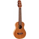 Takamine GUS1