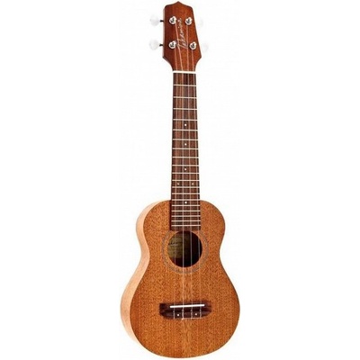 Takamine GUS1