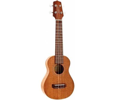 Takamine GUS1