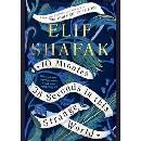 10 Minutes 38 Seconds in this Strange World - Elif Shafak