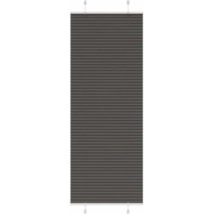 vidaXL Плисирана щора черна 70x200 cm Ширина на плата 69, 4 cm (4015154)