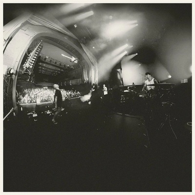 And So I Watch You From Afar - Megafauna Vinyl LP