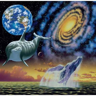 Grafika - Puzzle Cosmic Seas - 1 000 piese