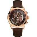 Invicta 17269