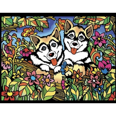 Colorvelvet Omaľovánky Zamatový obrázok Husky