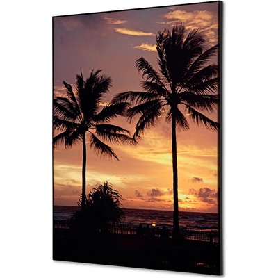 Jansen Display Textilní dekorace na zeď A2 Palmy západ slunce, 420 x 594 mm