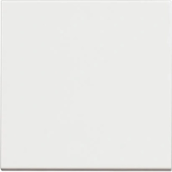 BTicino Еднополюсен ключ 2 мод. 10A цвят Бял Classia Pro - RW4001M2P (RW4001M2P)