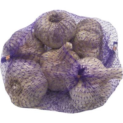 AgroBio Sadbový česnek Topaz 14 ks
