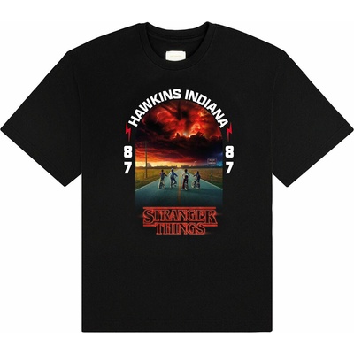 Stranger Things Hawkins 008