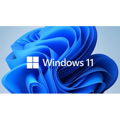 Microsoft Windows 11 Pro 64Bit ENG (HZV-00102)