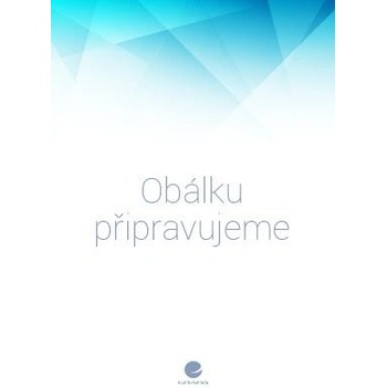 Velká kniha drátenictví