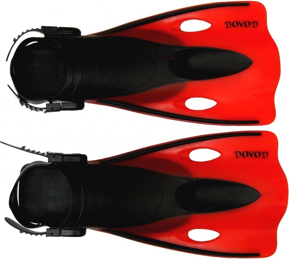 Dovod Explorer