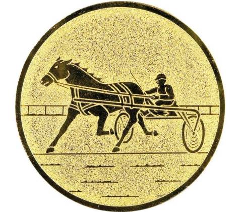 0489 Emblém jezdectví