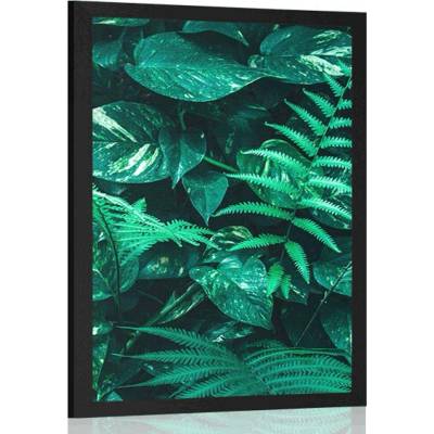 Plakát svěží tropické listy - 20x30 silver