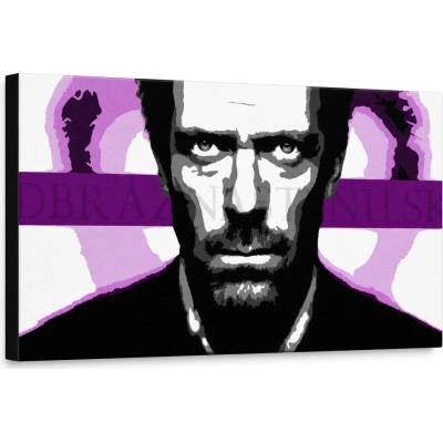 Ručne maľovaný POP Art obraz Dr. HOUSE 1010 - 100x50 cm