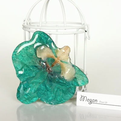 Meganflo Тюркоазена орхидея