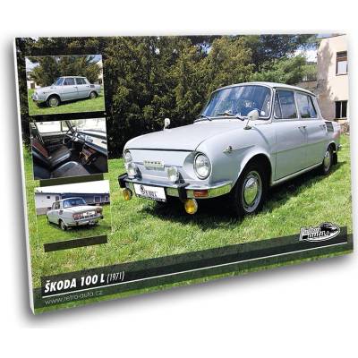 Obraz č. 08 - ŠKODA 100 L (1971) 100x70 cm