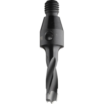 IGM C34105011