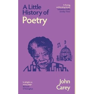 A Little History of Poetry | CAREY JOHN (ISBN: 9780300283426)