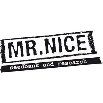 Mr. Nice Skunk Haze semena neobsahují THC 15 ks