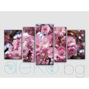 Image 1 of Японска вишна - 5 части (30051)