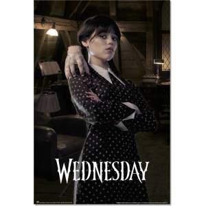 NNM постер wednesday - room - gpe5749
