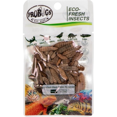 ProBugs Eco-Fresh Black Solider Fly Larvae 20 g