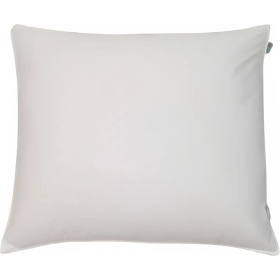 Moda62 Péřový Polštář Bílá 1 kg 70x90