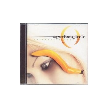 PERFECT CIRCLE: THIRTEENTH STEP CD