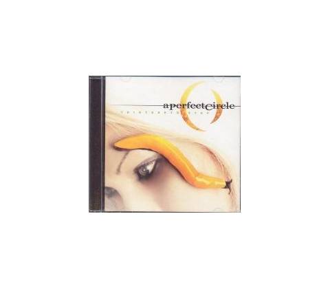 PERFECT CIRCLE: THIRTEENTH STEP CD