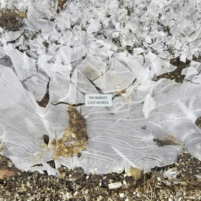 Tim Barnes - LOST WORDS Vinyl